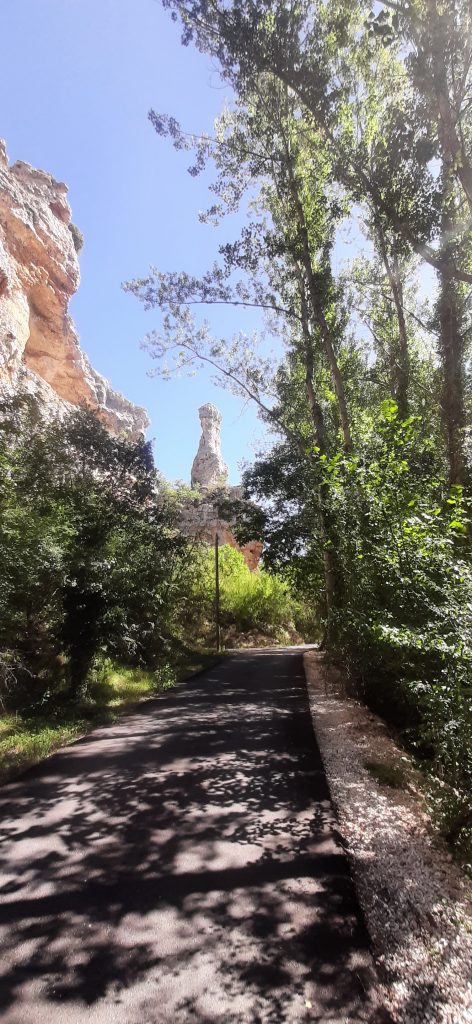 Dieses Bild hat ein leeres Alt-Attribut. Der Dateiname ist 20230831_161741-472x1024.jpg